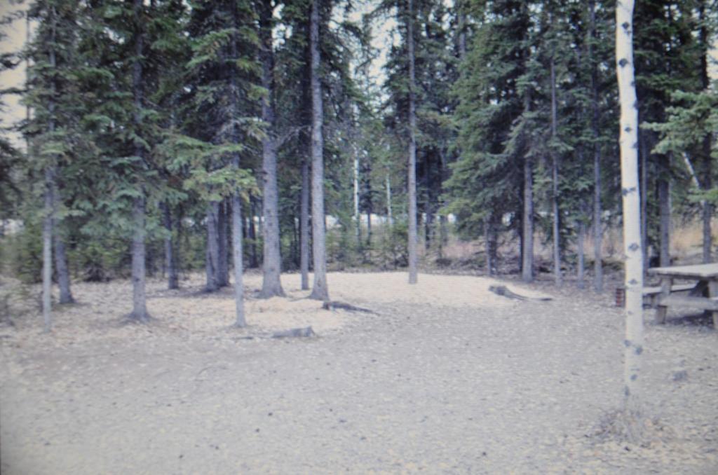 Rv Village And Campsite Tok